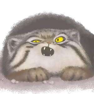 孙俪拍的特黄录像
