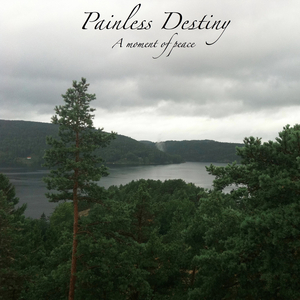 孙俪拍的特黄录像
